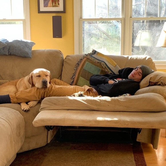 Meet your Posher, Ruby lab resale - Picture 8 of 10